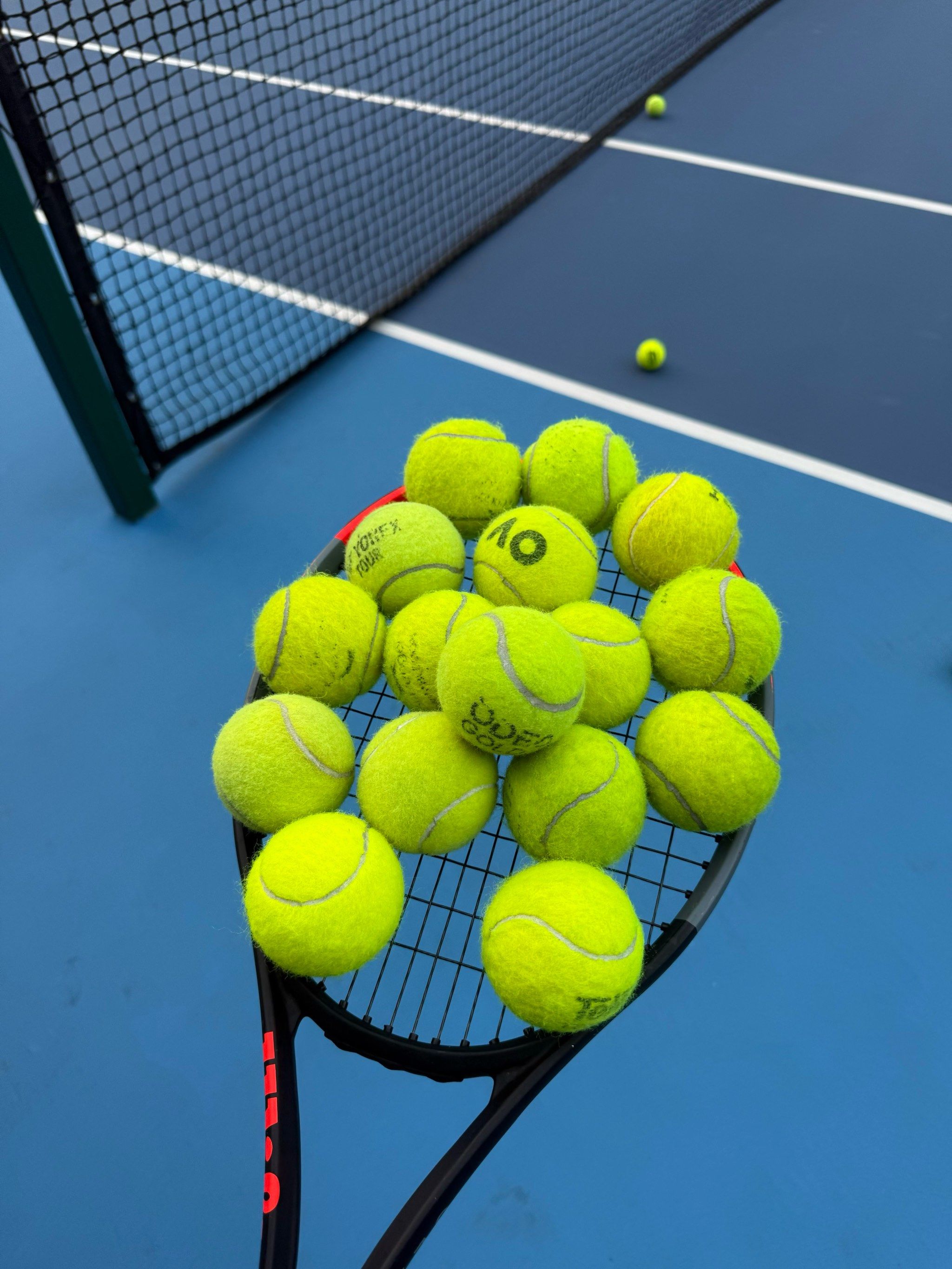 总是以其热 总是以其热